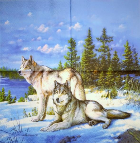 057 Animals Autumn - 3-ply - Nouveau
